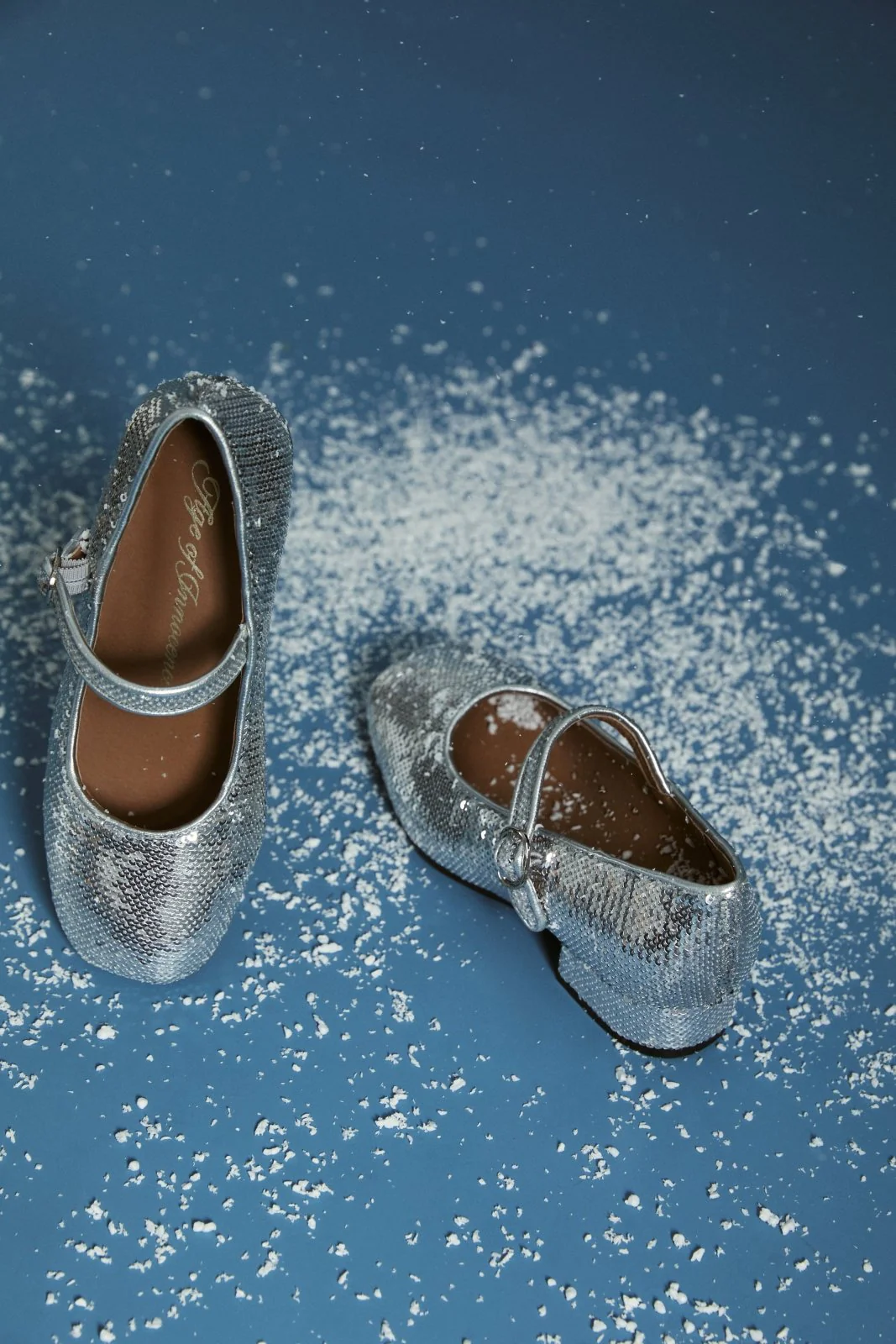 Agnese Sequins Silver Shoes - Image 3