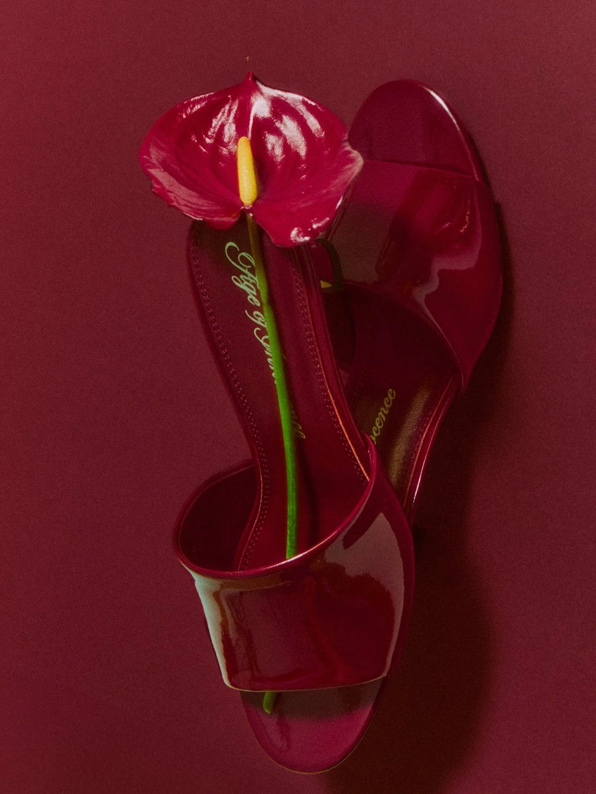 Aurea Burgundy Mules - Image 4