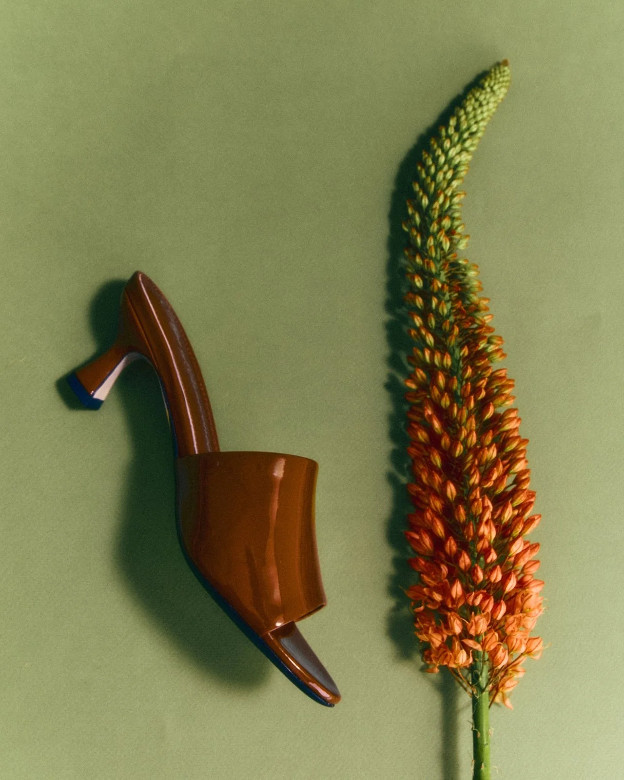 Aurea Mocca Mules - Image 4