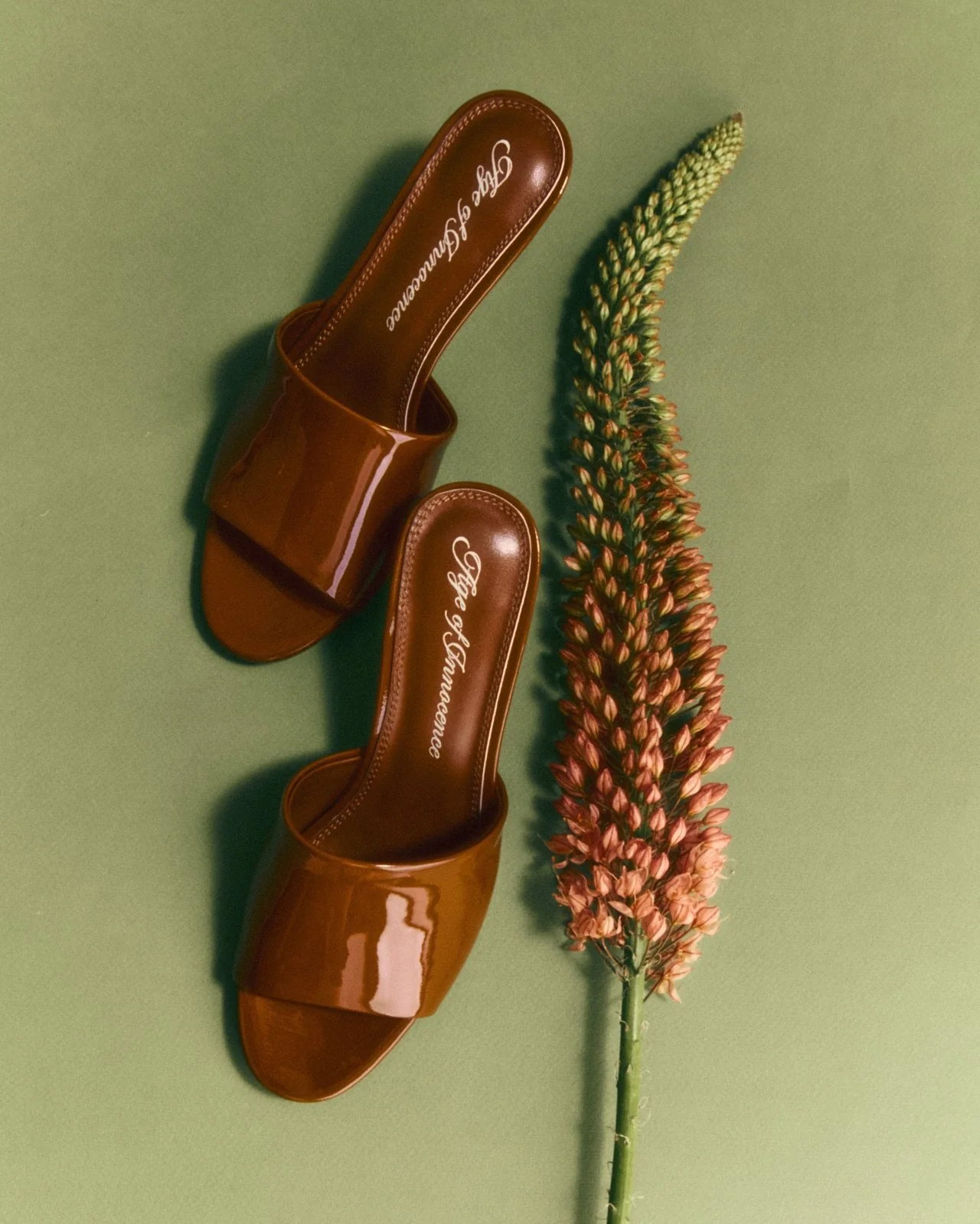 Aurea Mocca Mules - Image 5