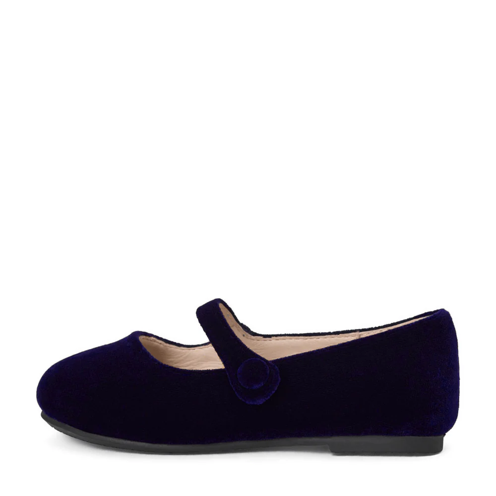 Elin Velvet Navy Shoes