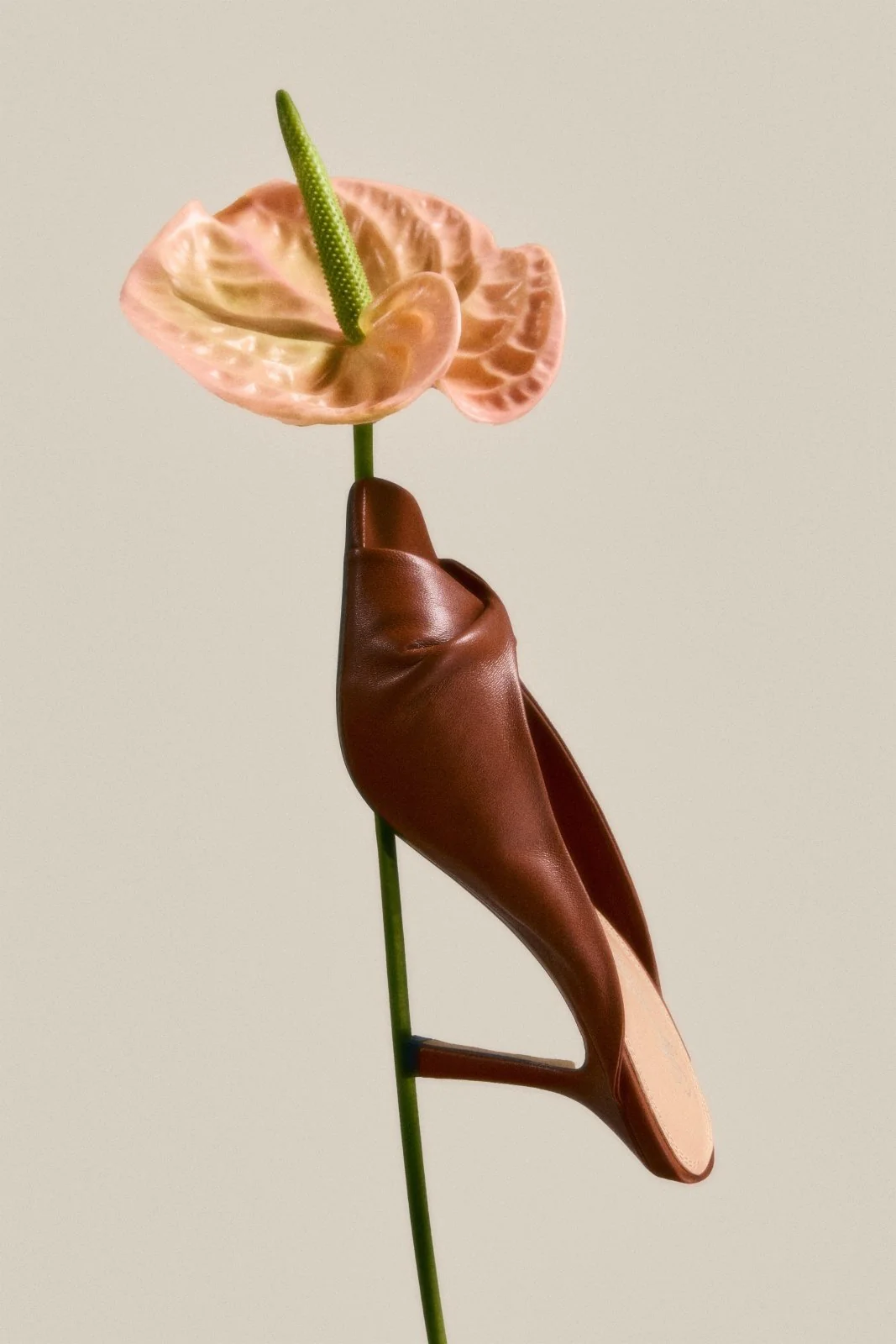 Patti Camel Mules - Image 4