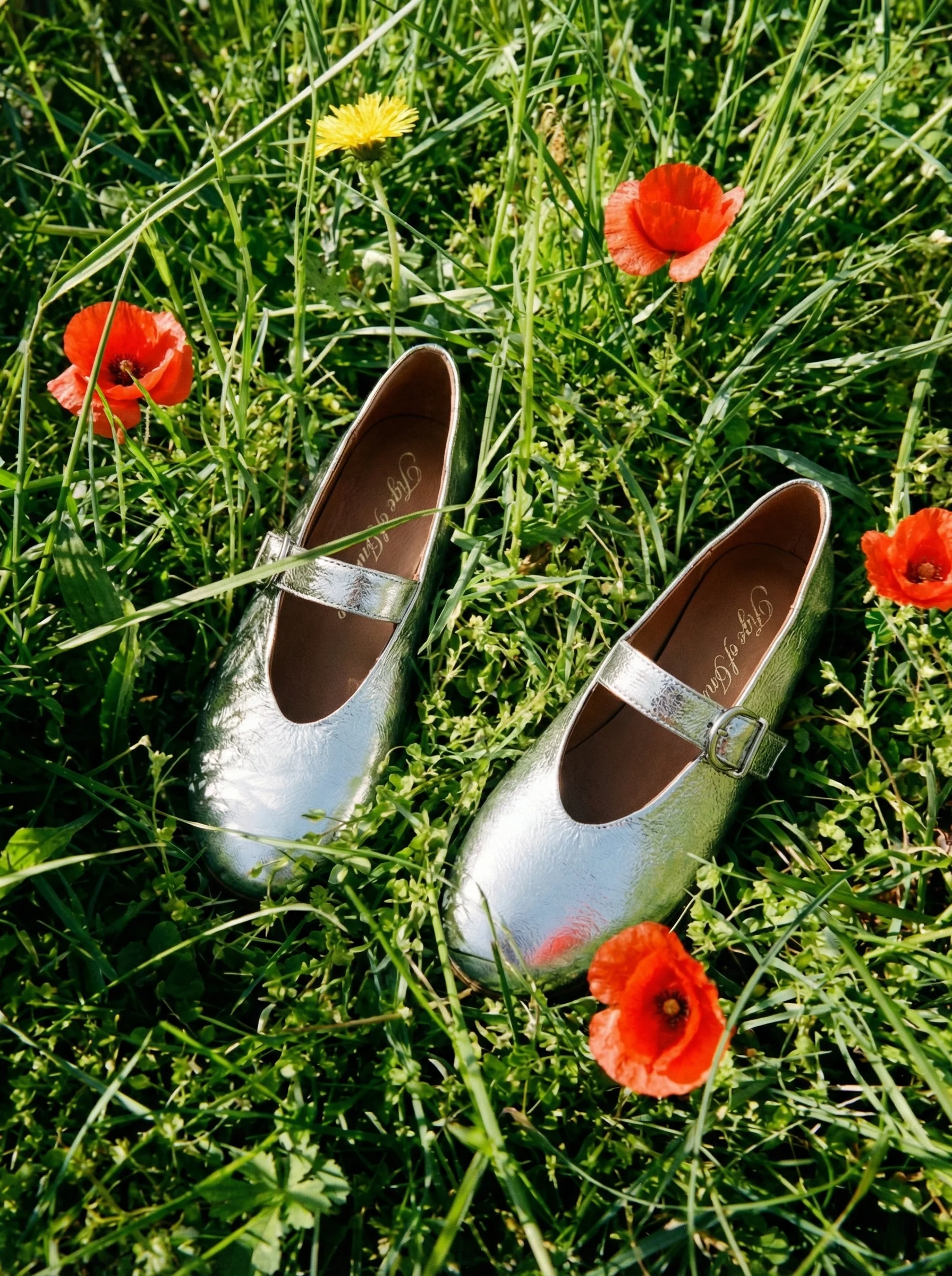 Sydney Leather Silver Flats - Image 3