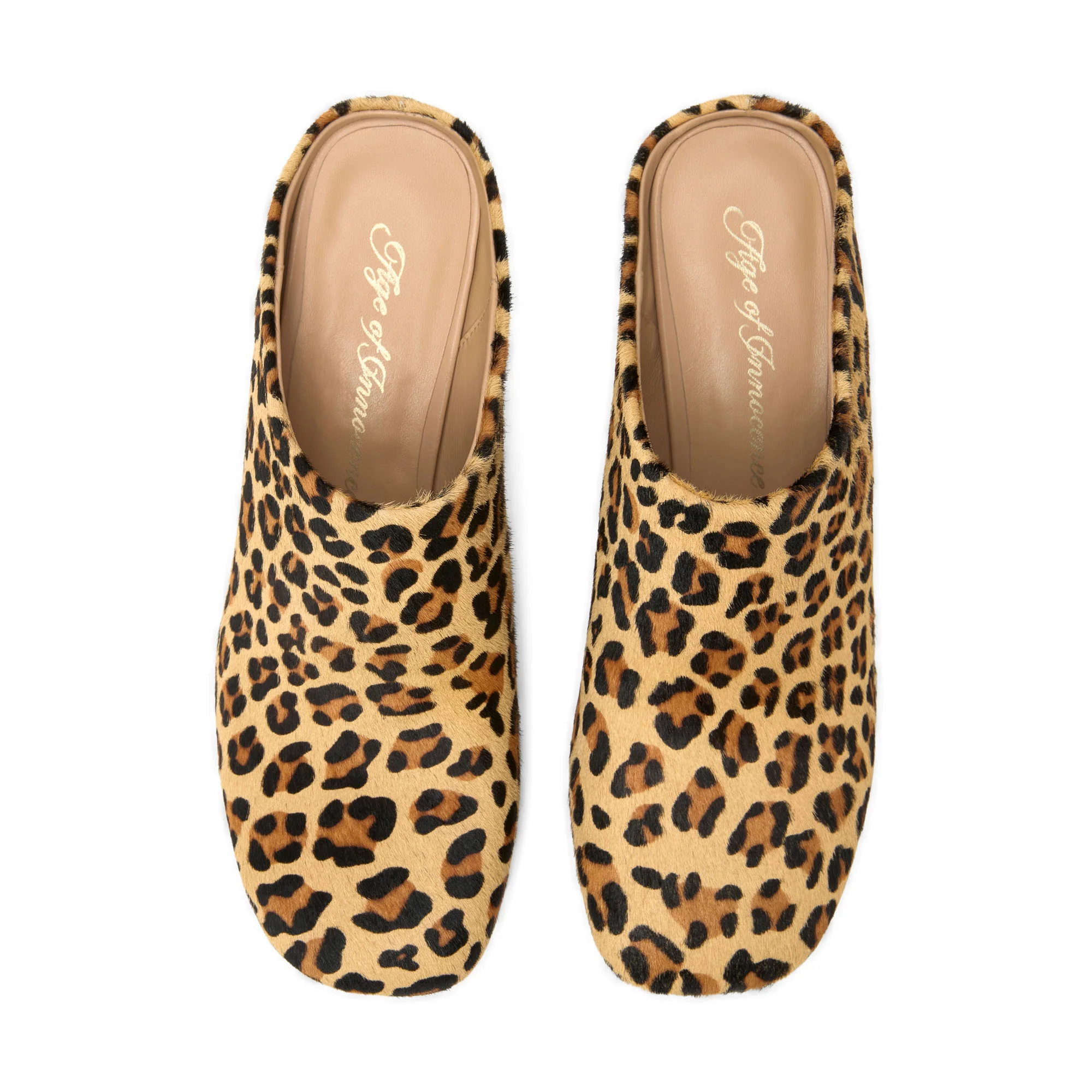 Tasha Animal Print Shoes - Image 3